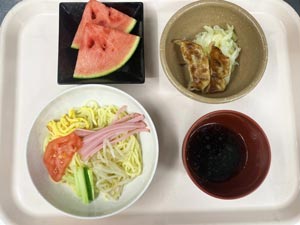 フォーライフ桃郷 イベント食「冷やし中華」